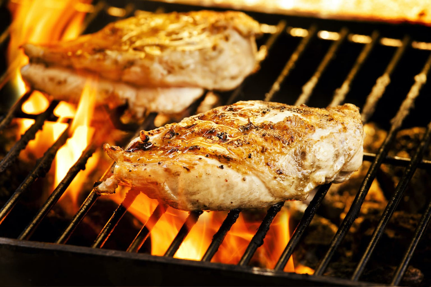 Chicken Breast Fillet