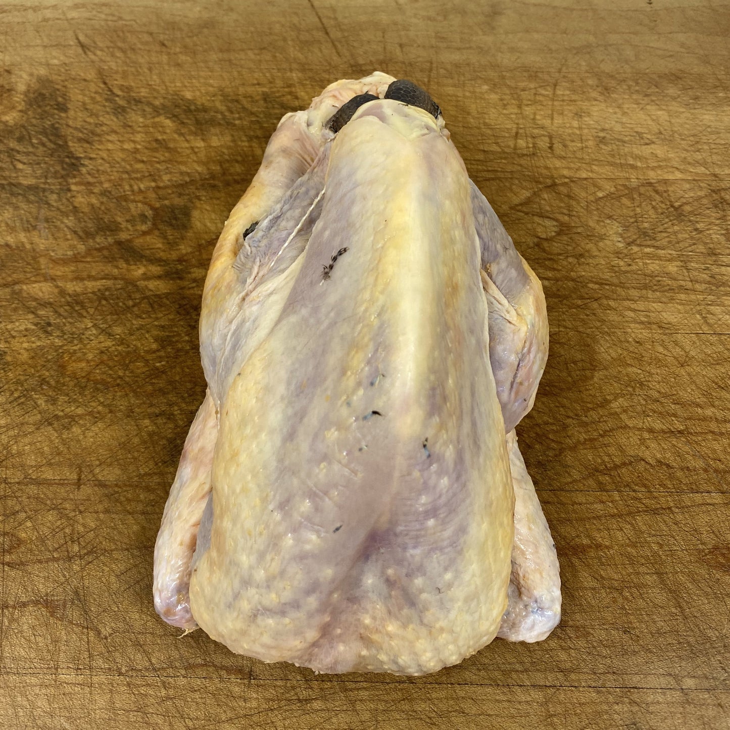Guinea Fowl