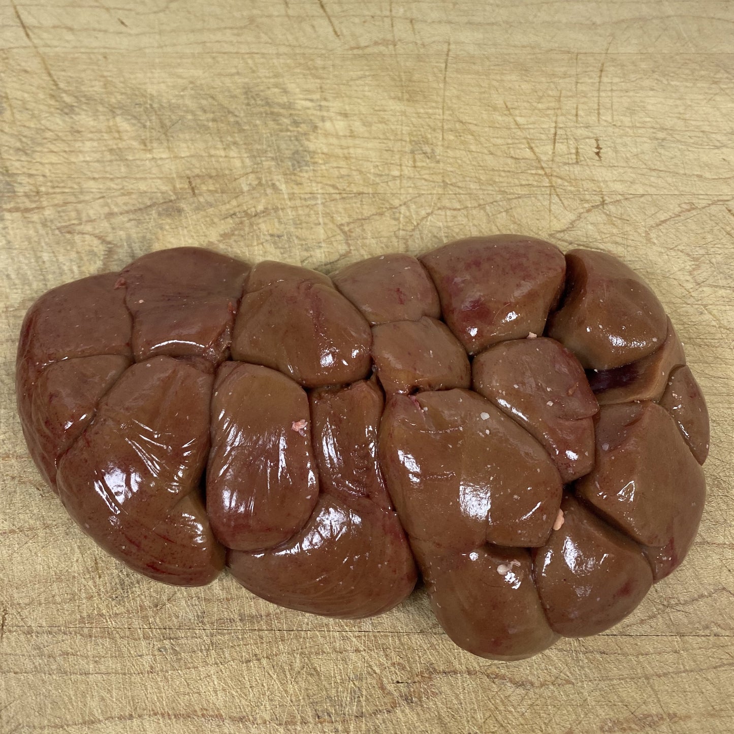 Ox Kidney
