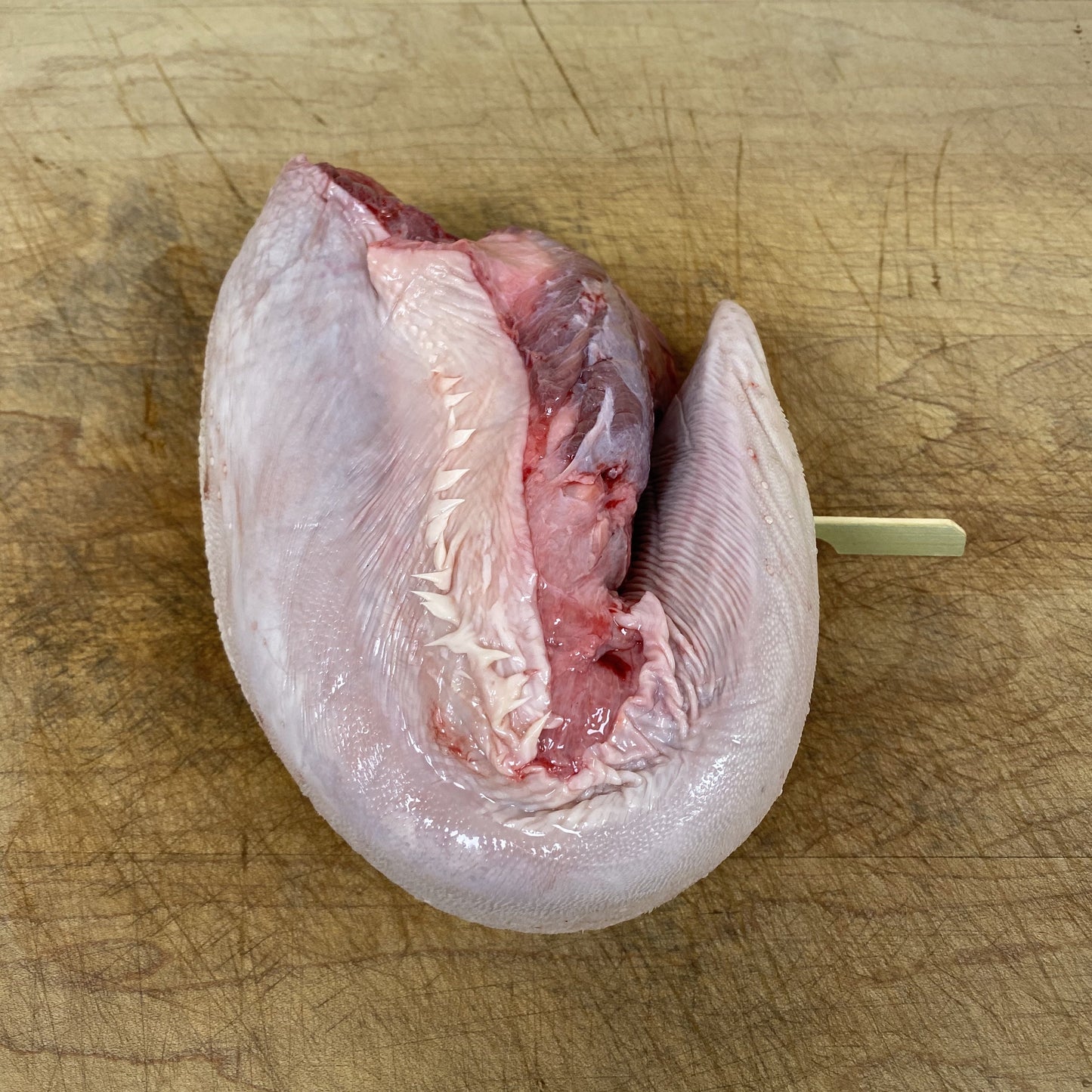 Salt Tongue