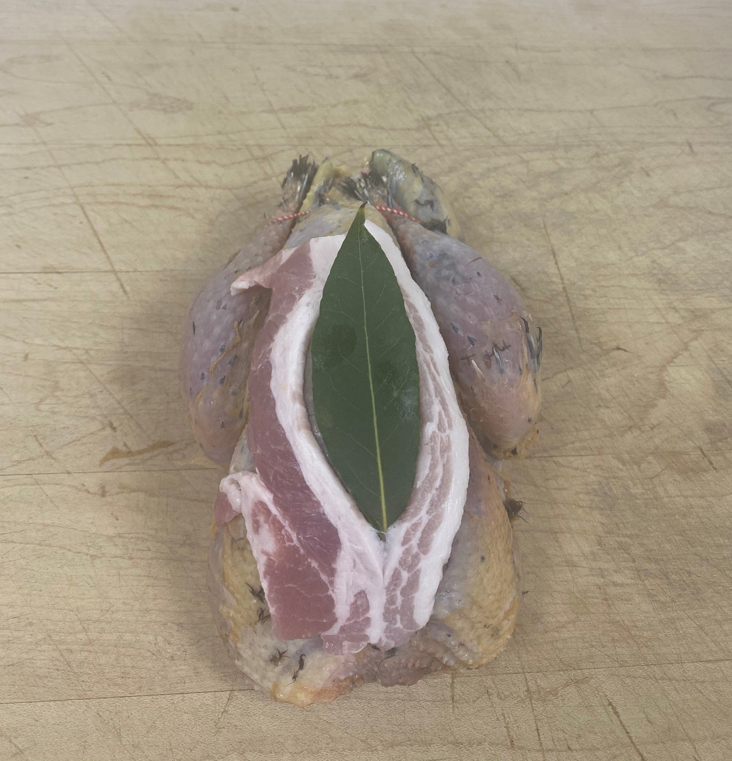 Pheasant