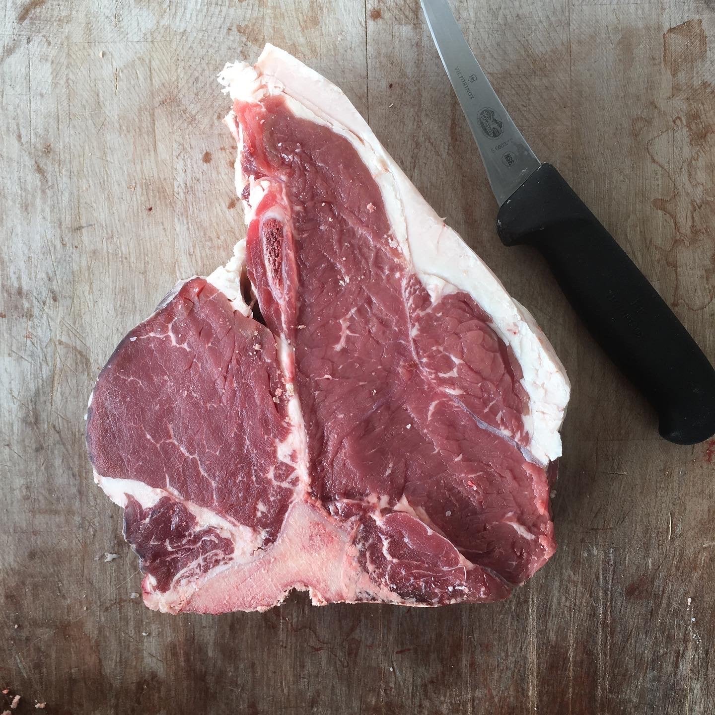 T-Bone Steak