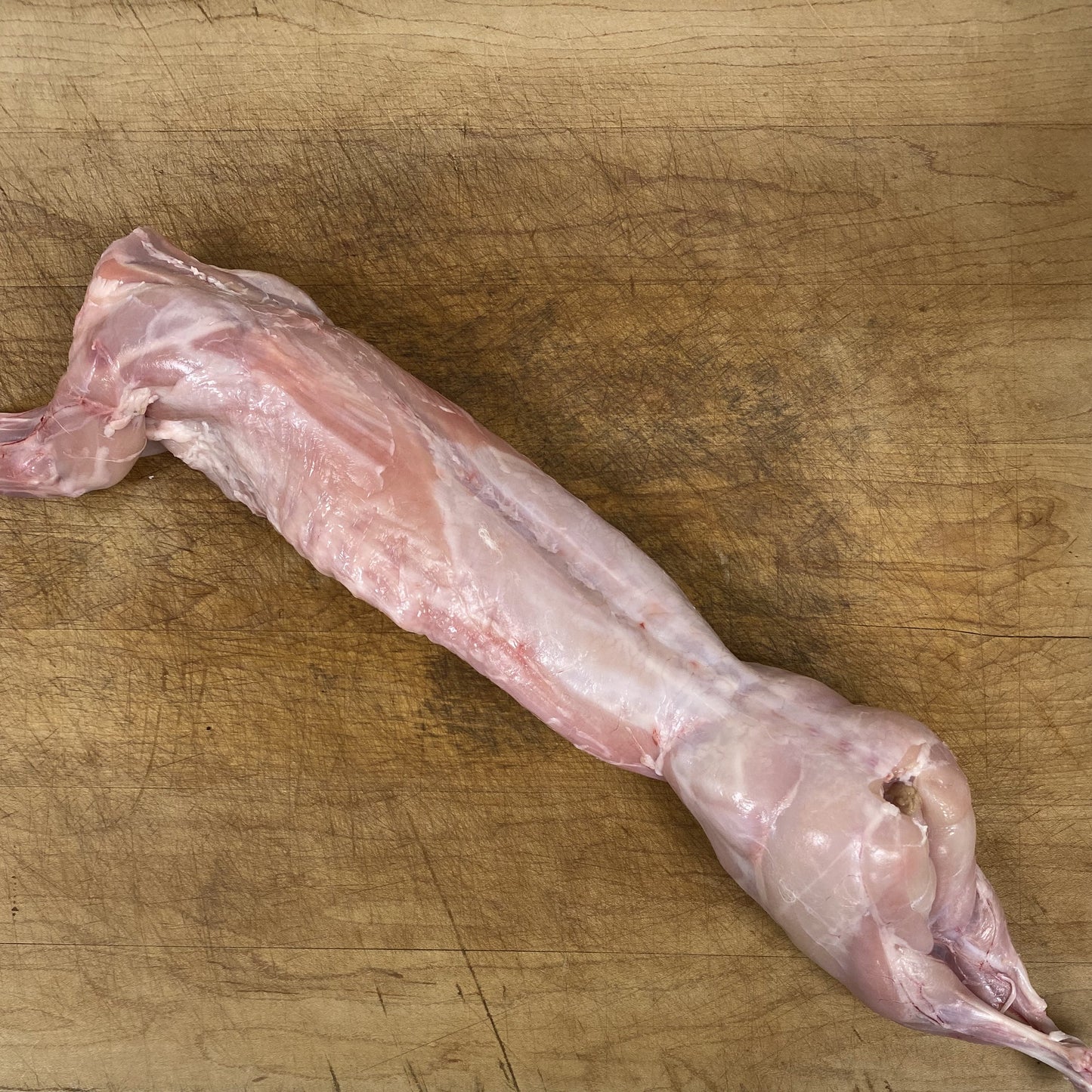 Wild Rabbit